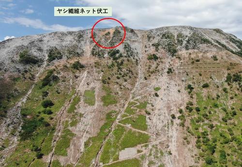 ヤシ繊維ネット伏工の位置