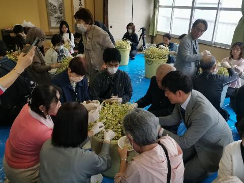 市民の皆さまと一緒に収穫されたカモミールを選別いたしました。