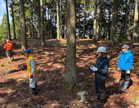 ヘルメットを被った市長たちが山林の中で現場視察を行っている写真。