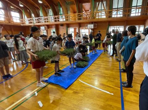 ブルーシートにイブキジャコウソウを置いて並べている小学生のみなさんの写真