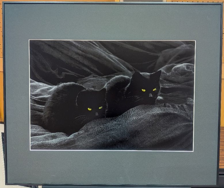二匹の黒猫が並んで座っており、二匹の黄色の瞳が光っている写真