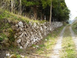 市指定史跡の峠のシシ垣の写真