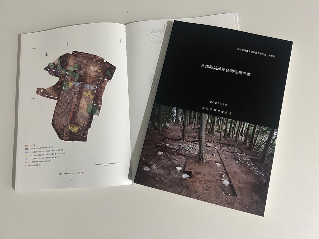八講師城総合調査報告書
