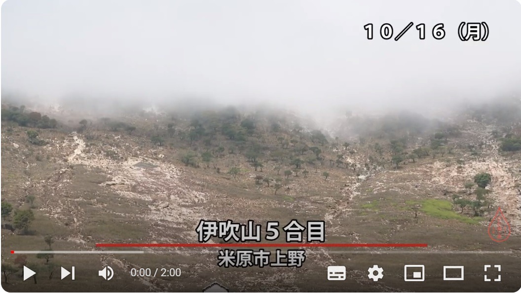 米原市公式YouTubeチャンネルへのリンク用画像