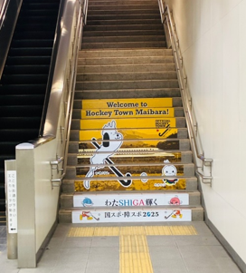寄贈いただいた階段装飾の写真。黄色い背景色にびわけんとほたるん、国スポロゴがデザインされている。