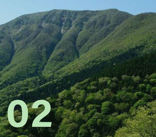 グリーンをイメージさせる伊吹山の木々