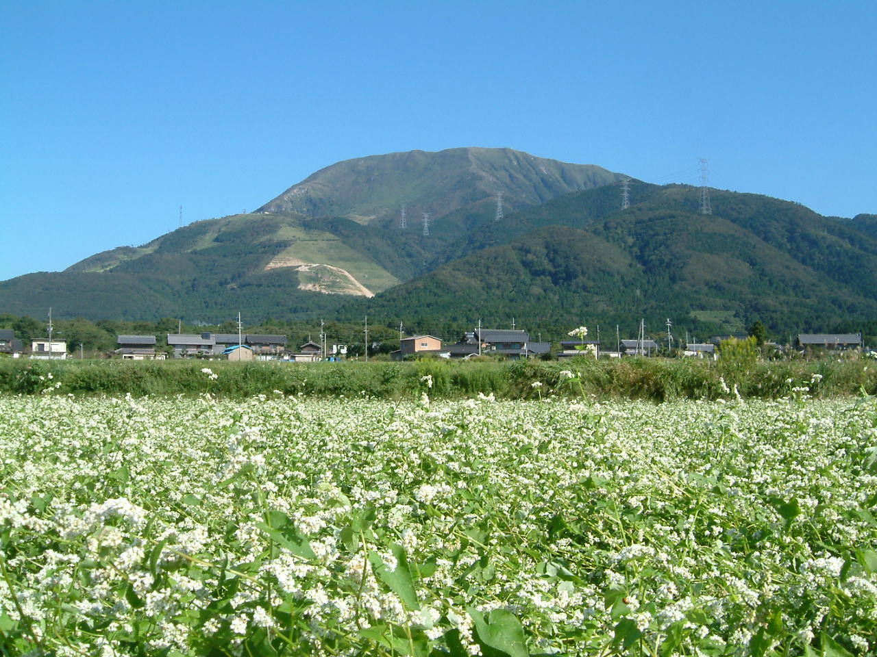 伊吹そばの写真