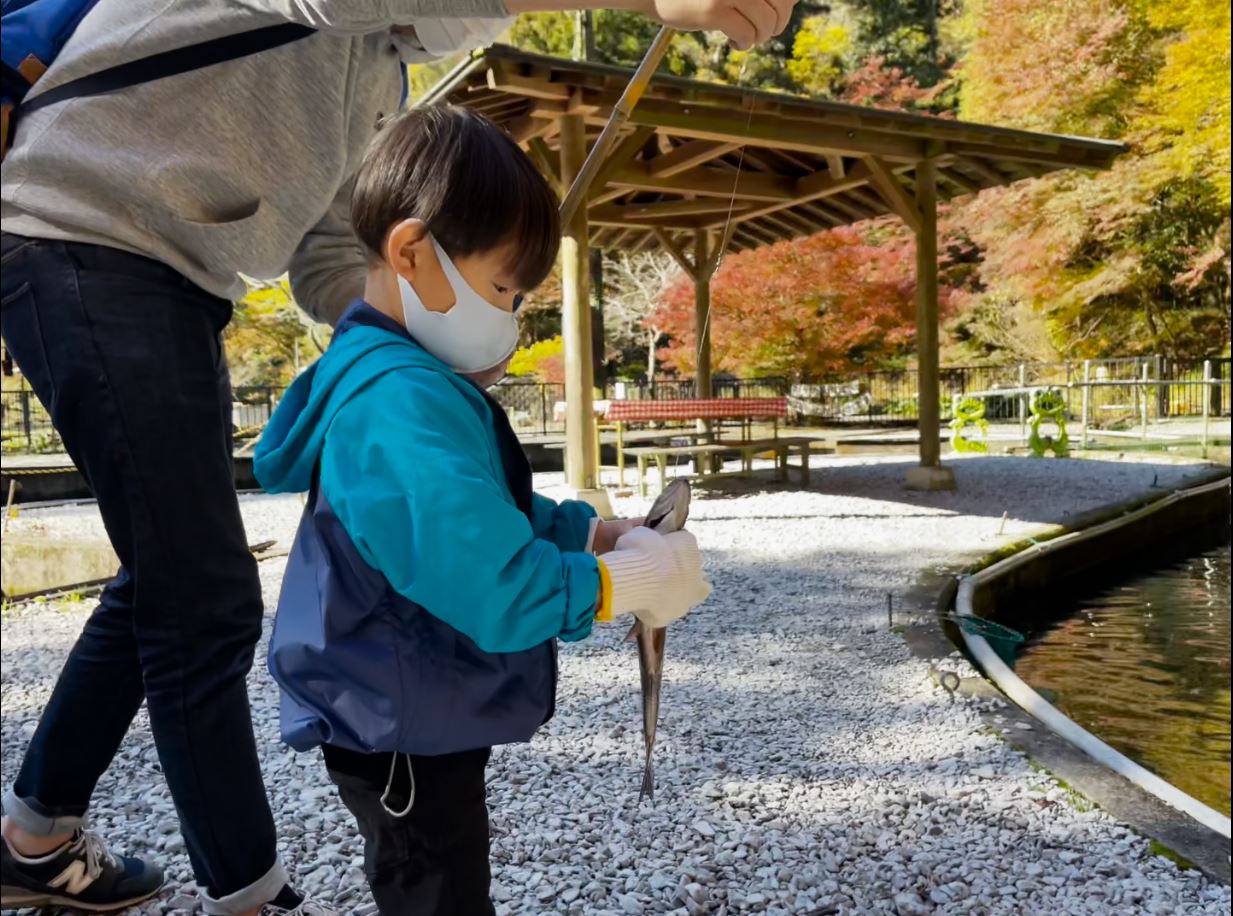 家族みんなにちょうどえぇ米原