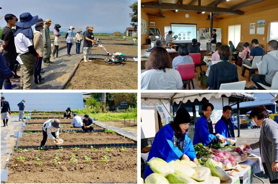 まいばら農業塾の様子。4枚の写真が1つになっている。左上の写真は参加者が畑の耕し方を学んでいるようす。右上の写真は座学のようす。左下の写真は野菜の定植作業のようす。右下の写真は販売実習で来客者に野菜の説明をしているようす。