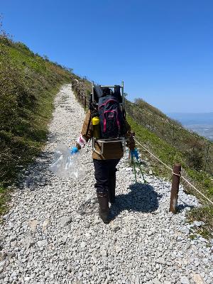 登山に適した格好で山登りをしている伊吹山レンジャーの写真