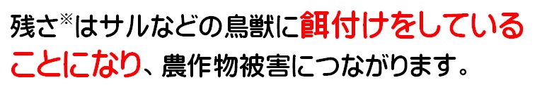 残さはサルなどの鳥獣に餌付けをしていることになり、農作物被害につながります
