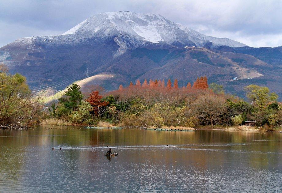 雪化粧をした山の手前に池があり鳥が泳いでいる写真
