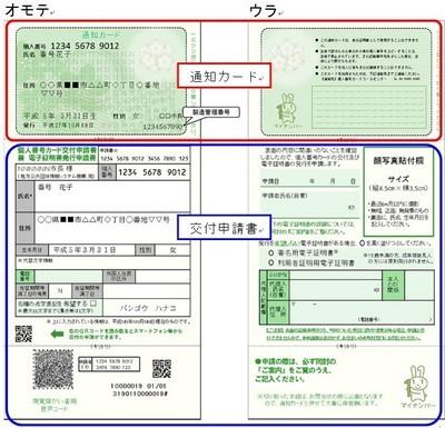 通知カードと交付申請書の見本の写真