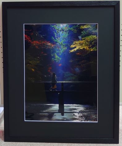 写真部門の市展賞を受賞した写真の画像。橋の上を一人の人が歩いており、目線の先には木々の合間に一筋の光が差している。