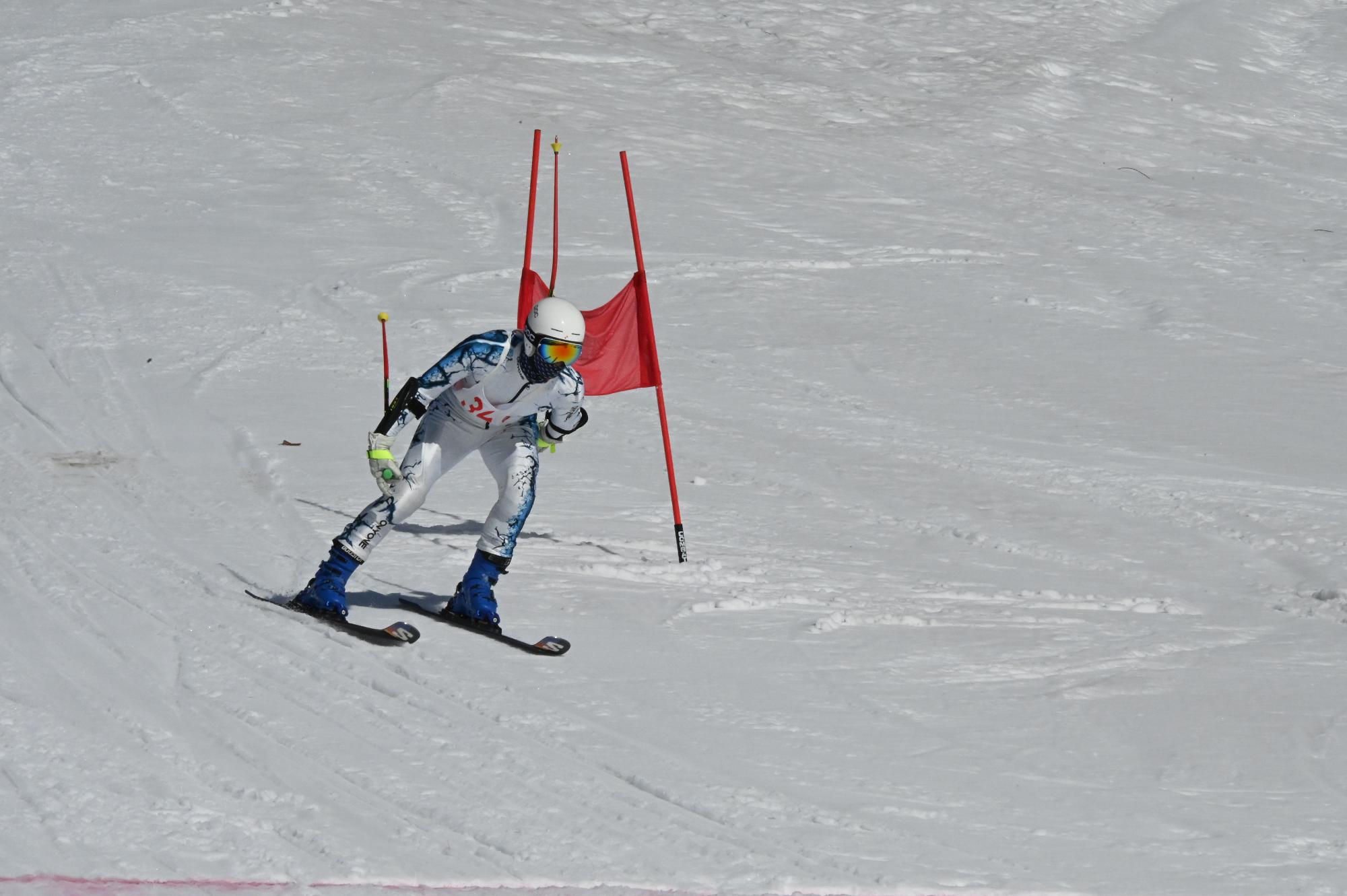 スキーで滑走している参加者
