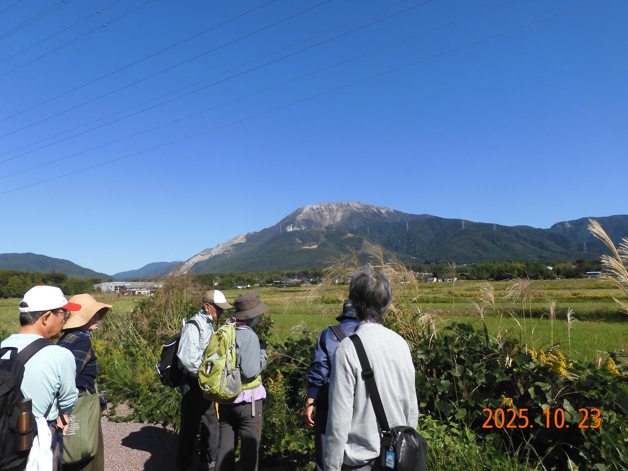 参加者が伊吹山を眺めながら歩く様子の写真