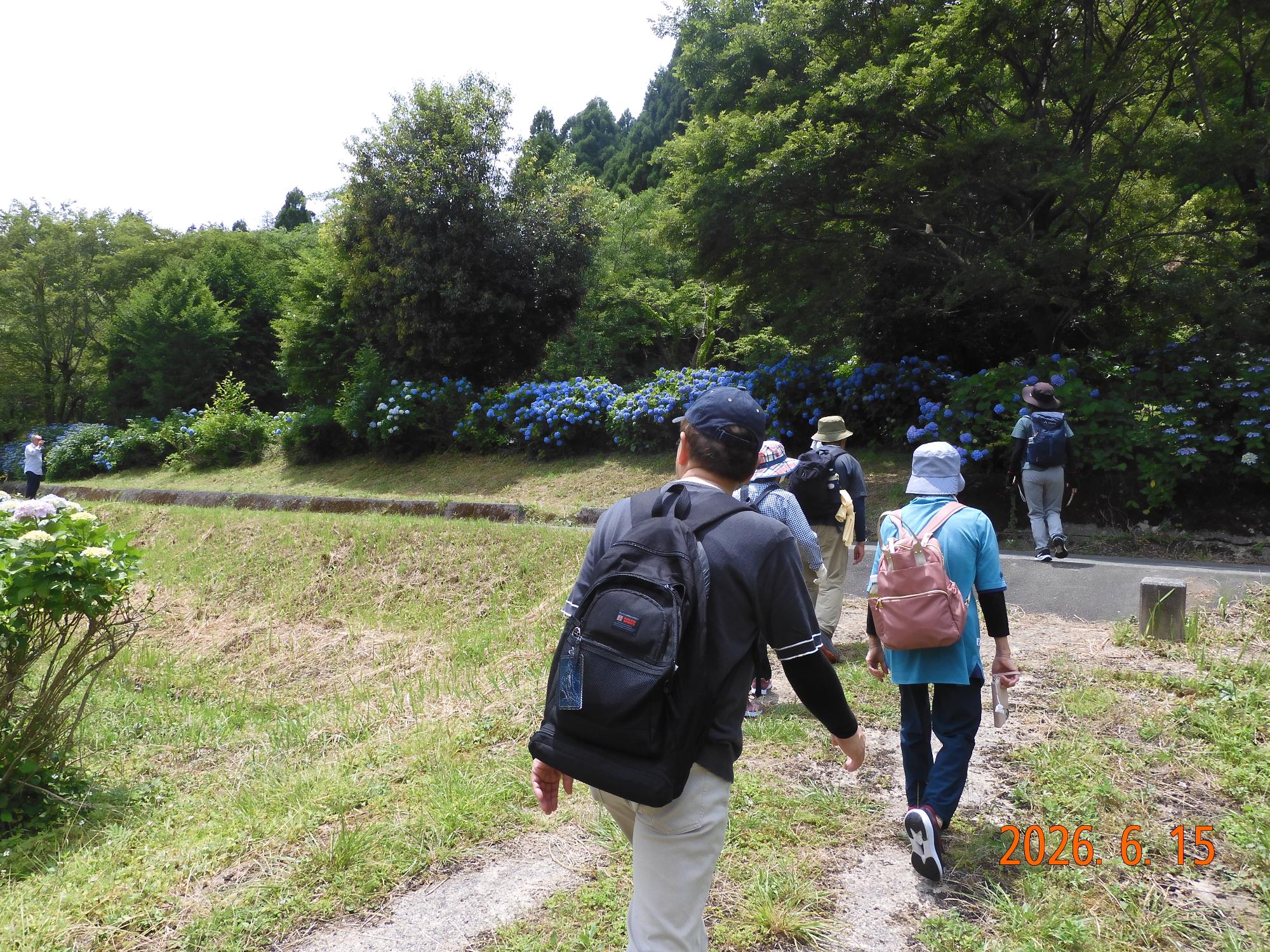 余呉湖周辺の観光地を歩く様子